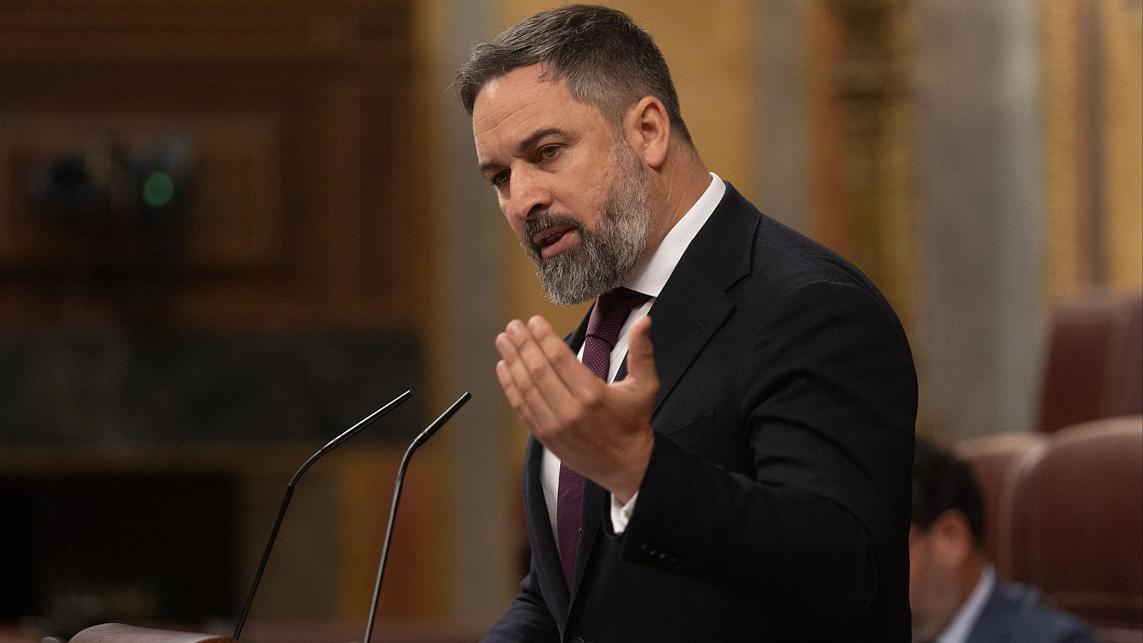 Abascal: "El Gobierno más corrupto no puede hablar de calidad democrática"