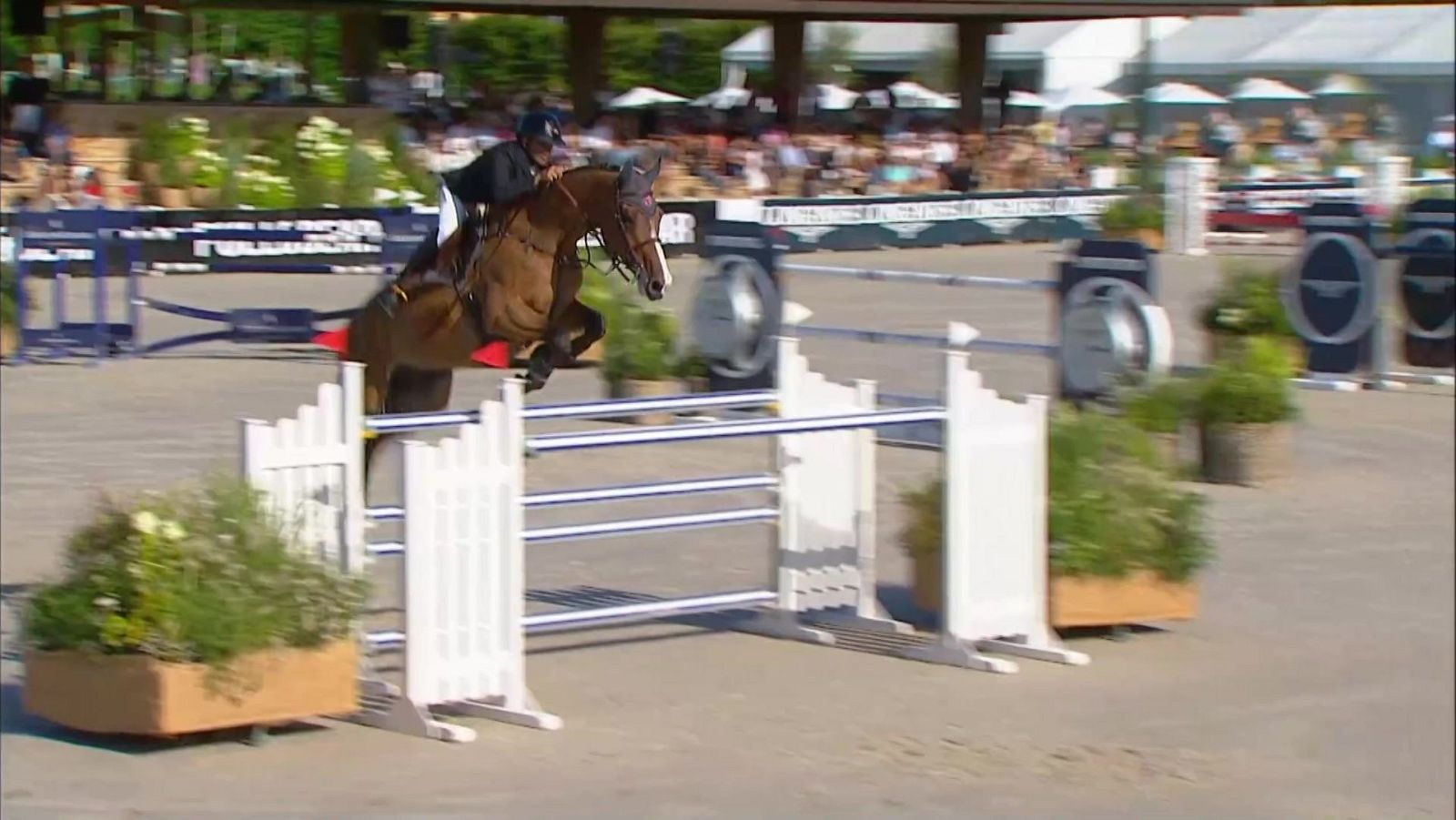 Concurso de saltos CSI Casas Novas. Trofeo Longines - ver ahora