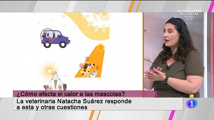 Cerca de ti - Cerca de ti - 18/07/2024