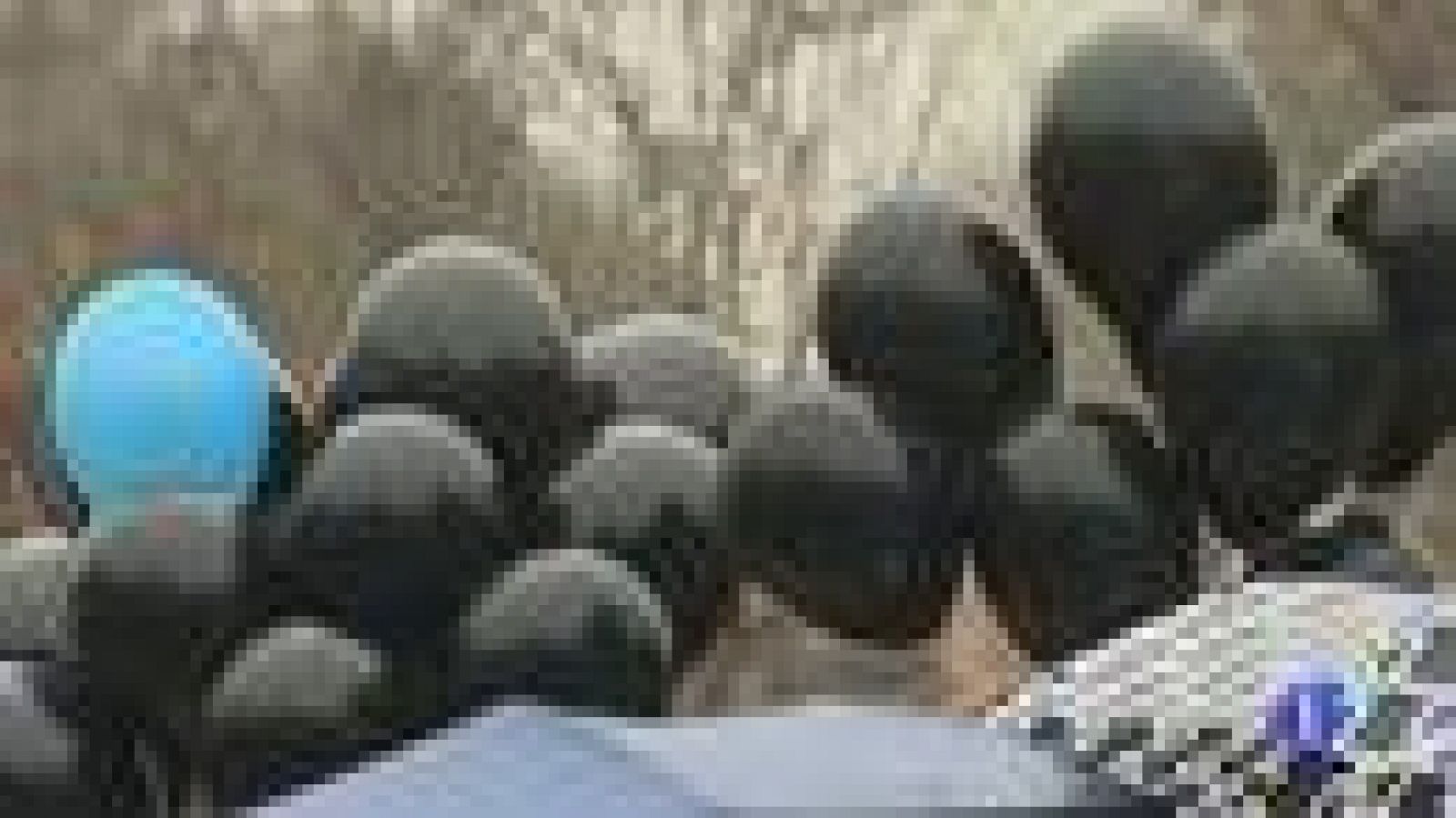 Los científicos salen a la calle en varias comunidades