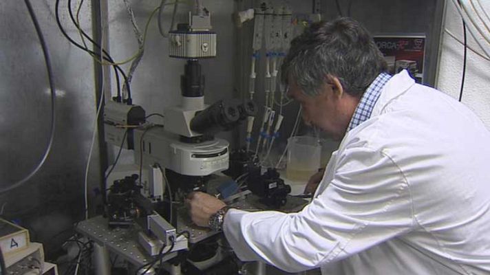 Telediario 1 - Los científicos salen a la calle