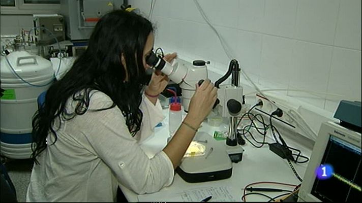 Noticias Aragón - Noticias Aragón - 19/12/12