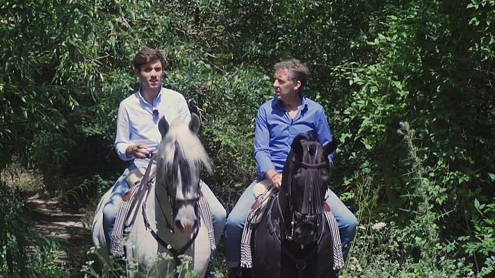 Tendido cero - Tendido Cero - 20/07/24