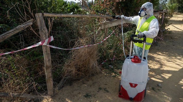 Una mujer de 86 años fallece en Sevilla a consecuencia del Virus del Nilo