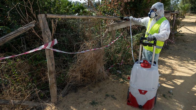 Una mujer de 86 años ha fallecido tras infectarse del virus del Nilo | Ver