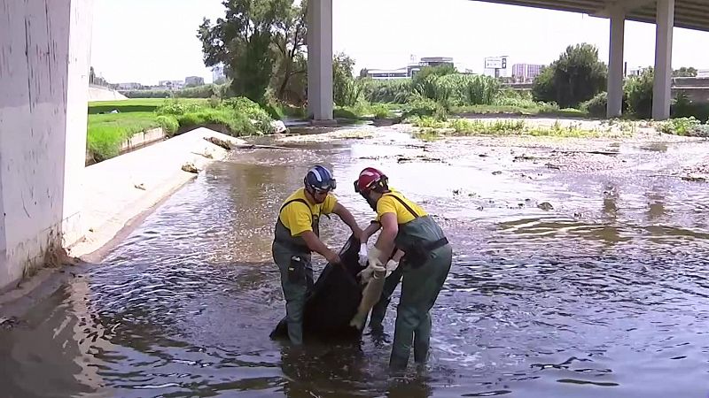 L'incendi a Polinyà contamina 11 km del riu Besòs