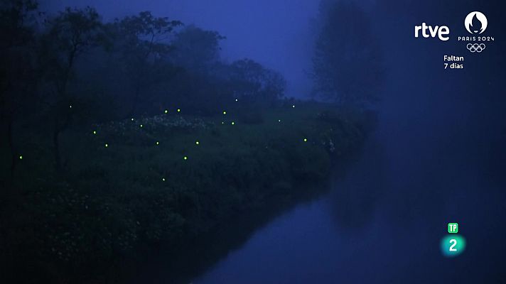 Som Documentals - Moments màgics. L'encanteri de la natura