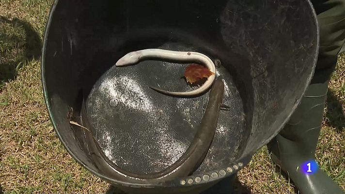 L'Informatiu - L'Informatiu 2 - 22/07/2024