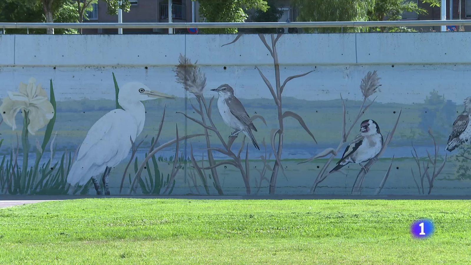 Reobre el Parc Fluvial del Besòs - L'Informatiu | Veure