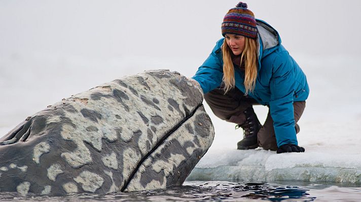 Una aventura extraordinaria