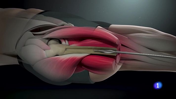 Panorama Regional - Panorama Regional - 25/07/2024