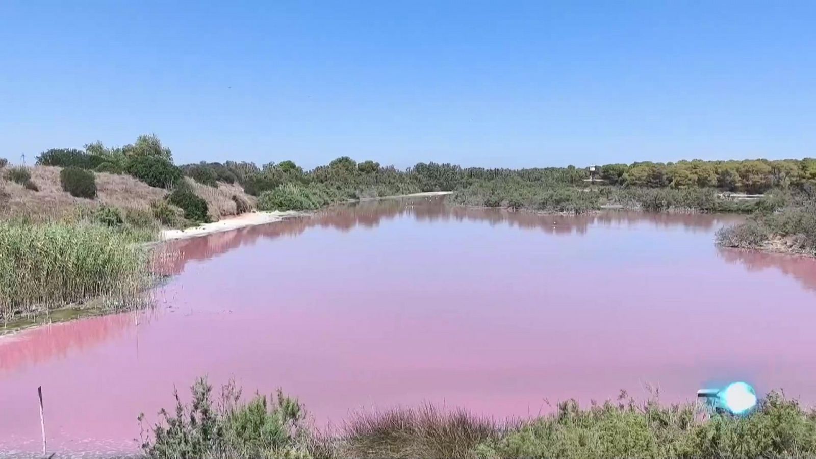 L'Informatiu de la Comunitat Valenciana 1 - 25/07/24 | Ver