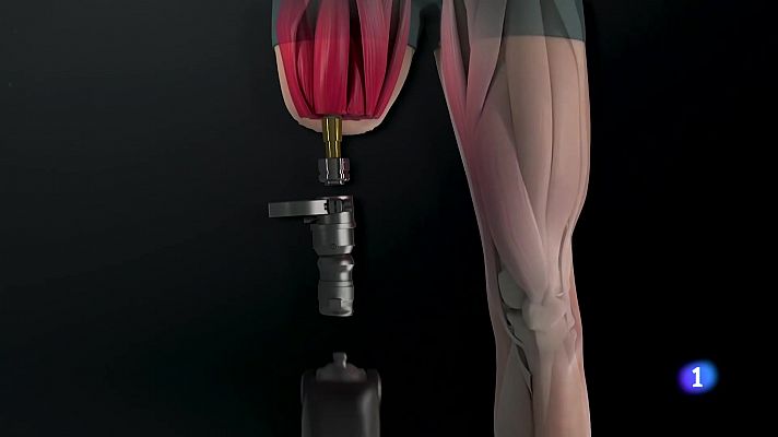 Panorama Regional - Panorama Regional 2 - 25/07/24