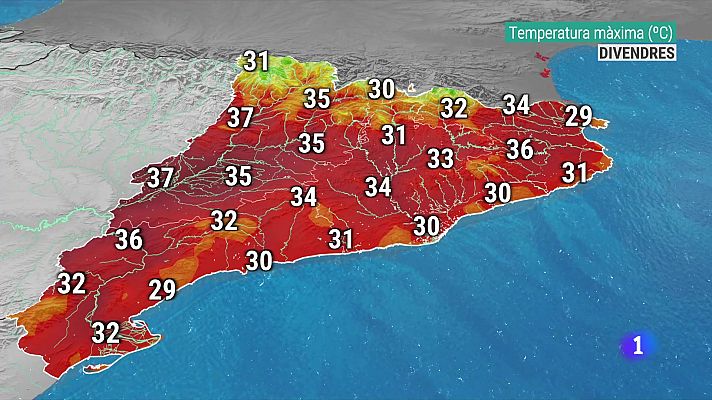 Calor intensa acompanyada de sol arreu