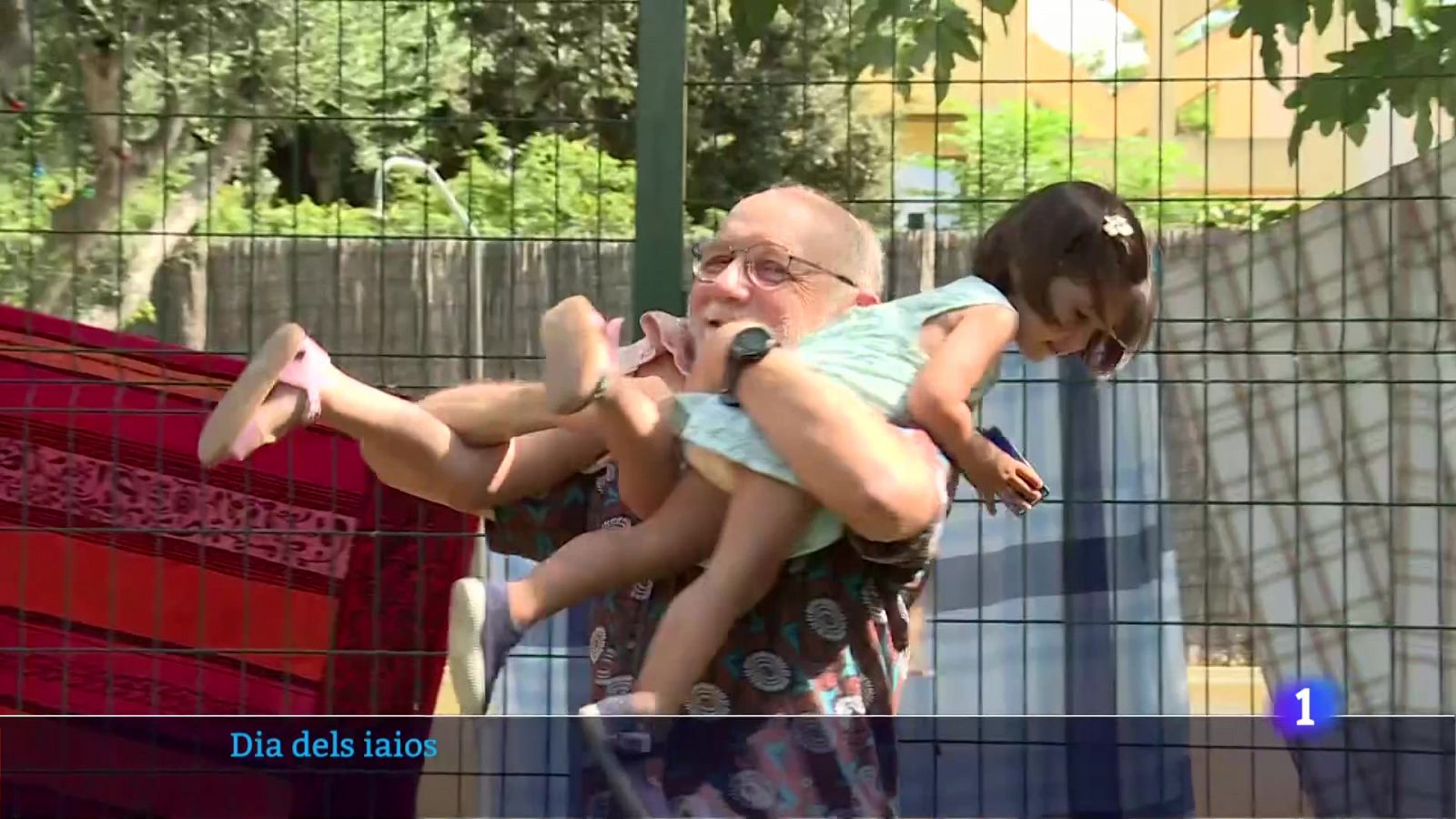 L'Informatiu de la Comunitat Valenciana 2 - 26/07/24 | Ver