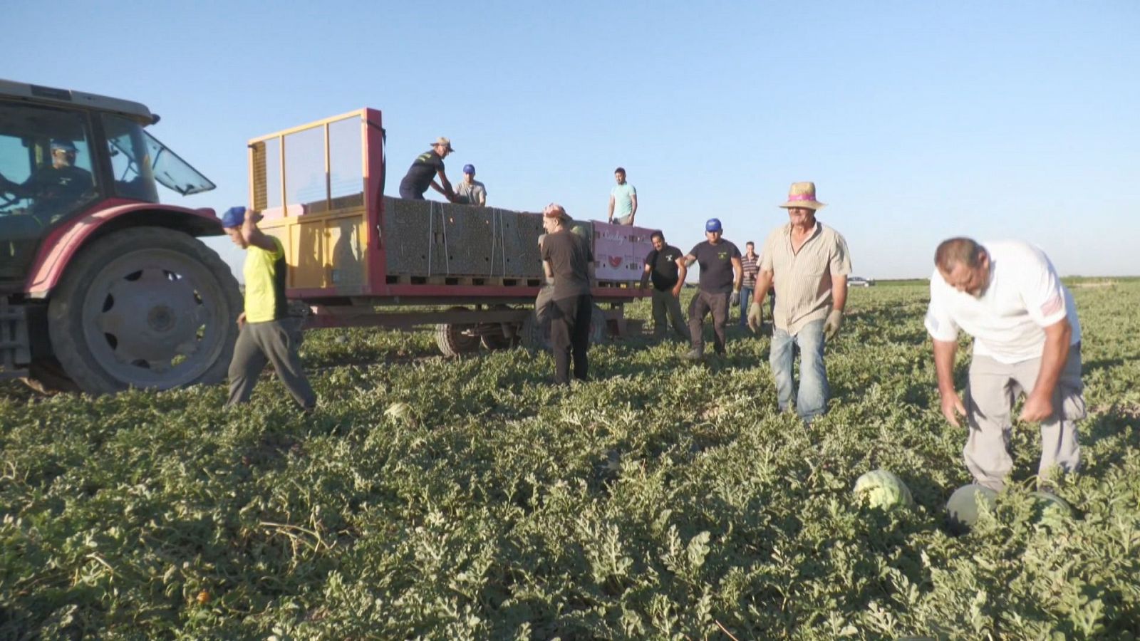 Agrosfera - 27/07/24 - ver ahora