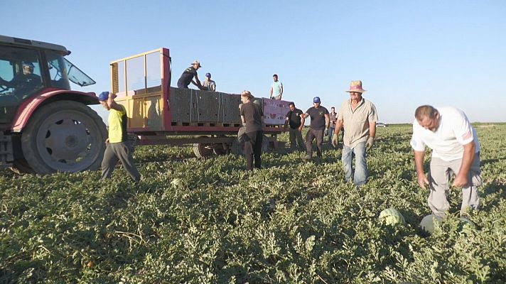 Agrosfera - Agrosfera - 27/07/24