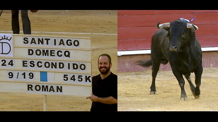 Tendido cero - Tendido Cero - 27/07/24
