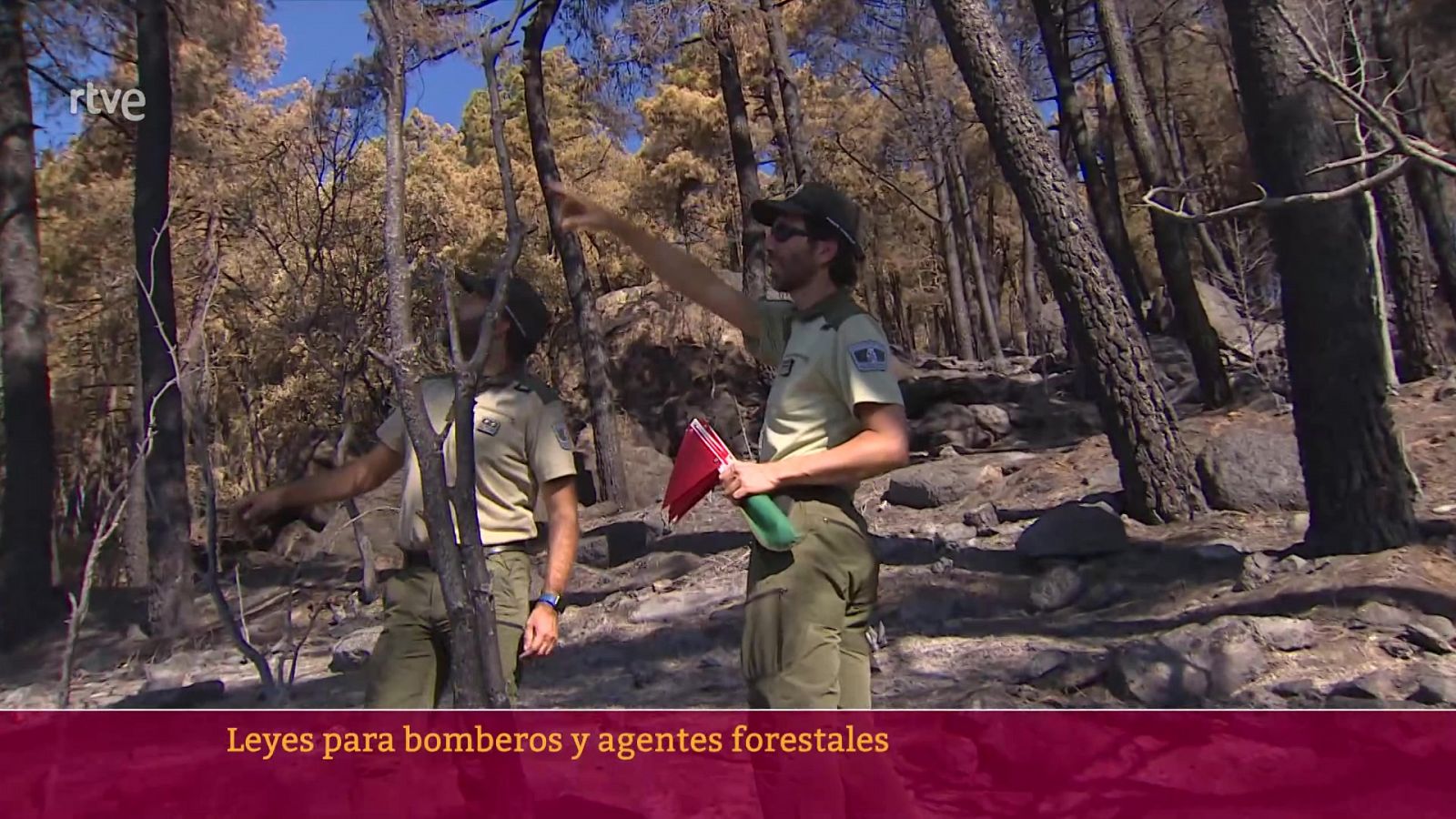 Ley para Agentes y Bomberos Forestales | Ver