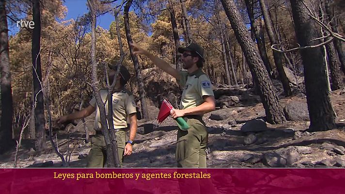 Parlamento - Ley para Agentes y Bomberos Forestales