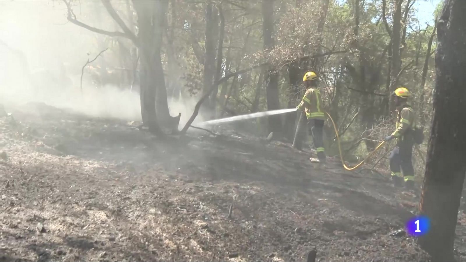 L'Informatiu - 01/08/2024 - L'Informatiu | Veure