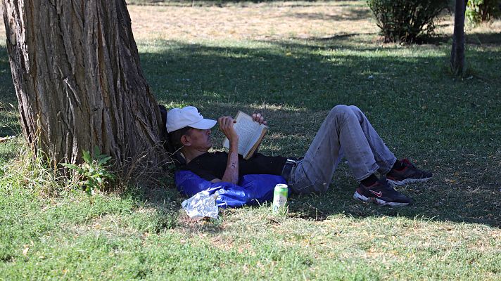 Las altas temperaturas hacen que los cerebros se vuelvan más torpes y lentos