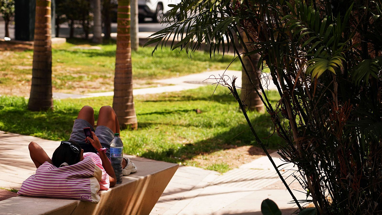 Elevadas temperaturas de hasta 40 grados en varios puntos de España - El tiempo | Ver