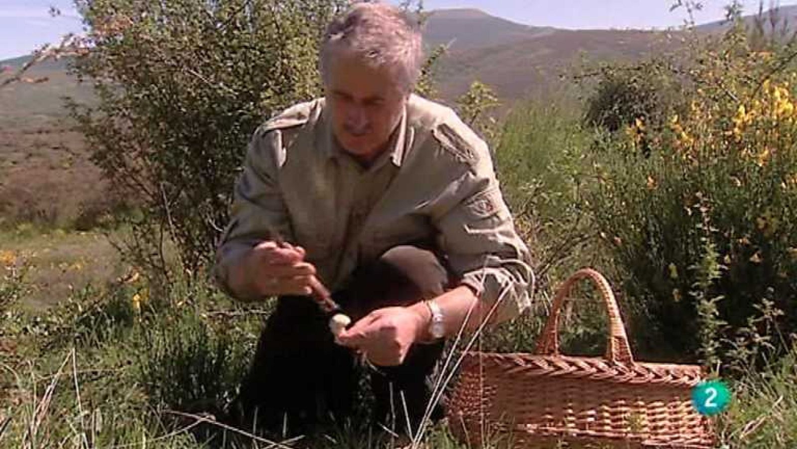 Biodiario - 20/12/12 - ver ahora