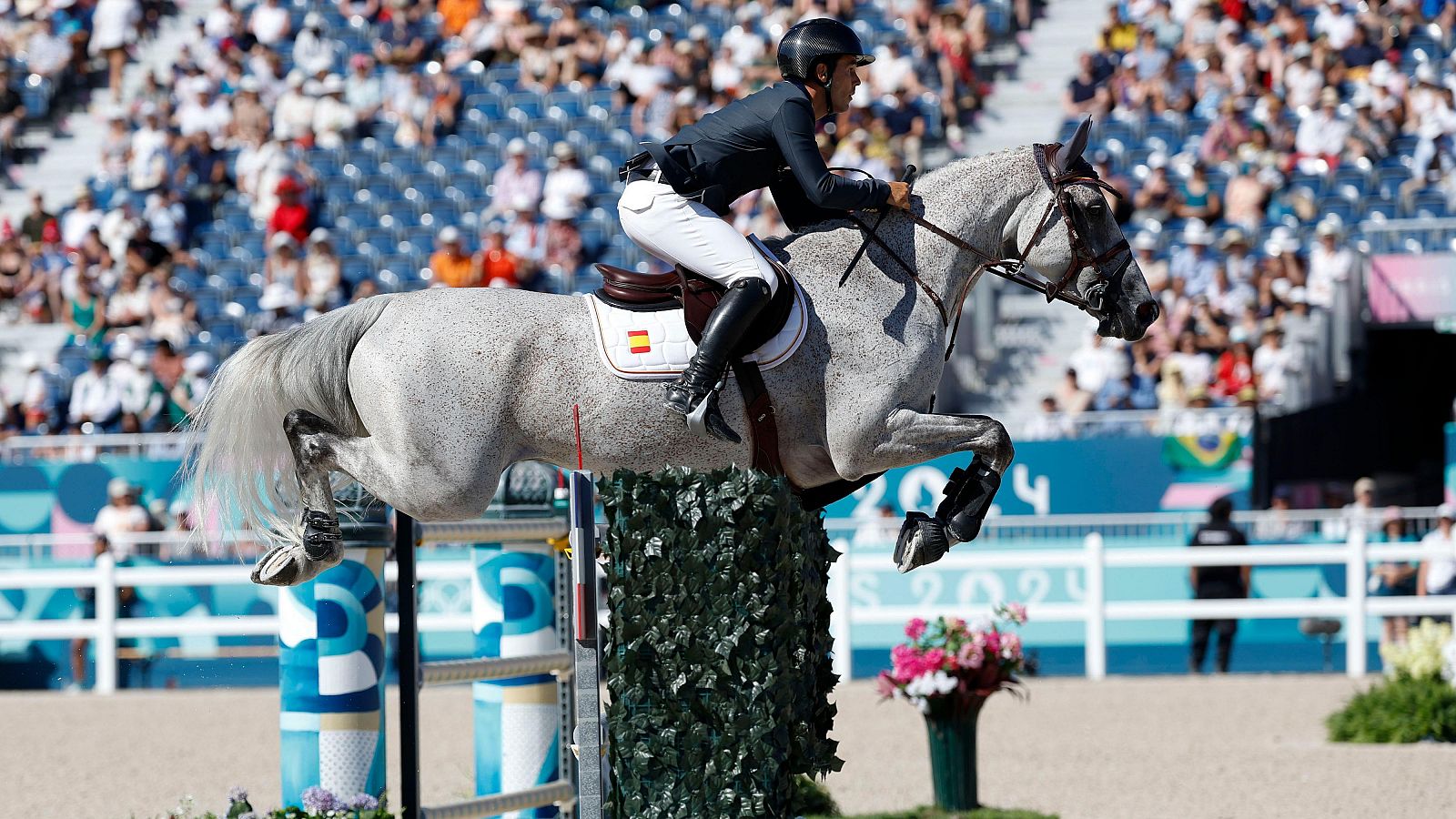París 2024 - Hípica: Saltos individual. Clasificatorias: Sergio Álvarez - Ver ahora