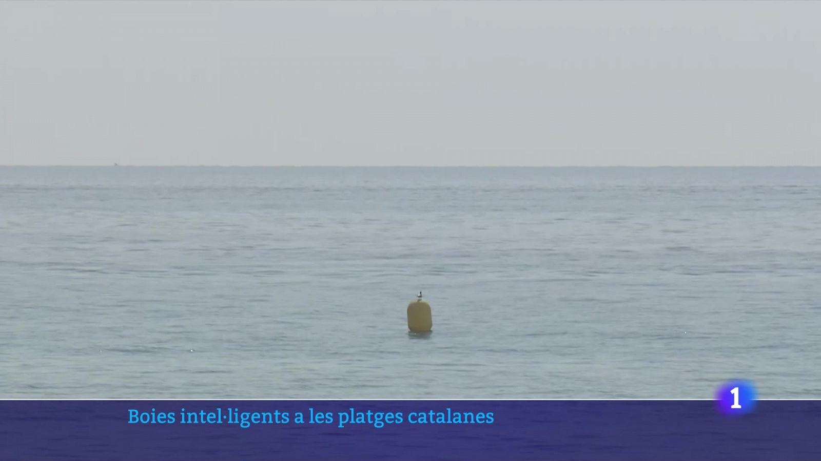 Prova pilot amb boies intel·ligents al mar