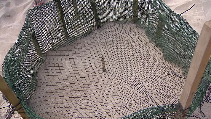 L'informatiu - Comunitat Valenciana - L'Informatiu de la Comunitat Valenciana 2 - 07/08/24