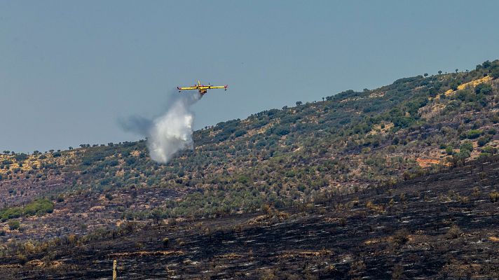 Informativo 24h - Informativo 24 horas - 20h - 07/08/24