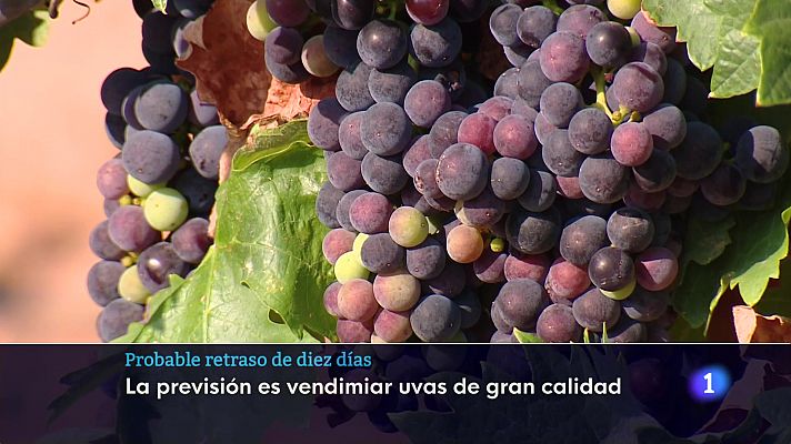 Informativo Telerioja - Informativo Telerioja  - 09/08/24 - Ver ahora