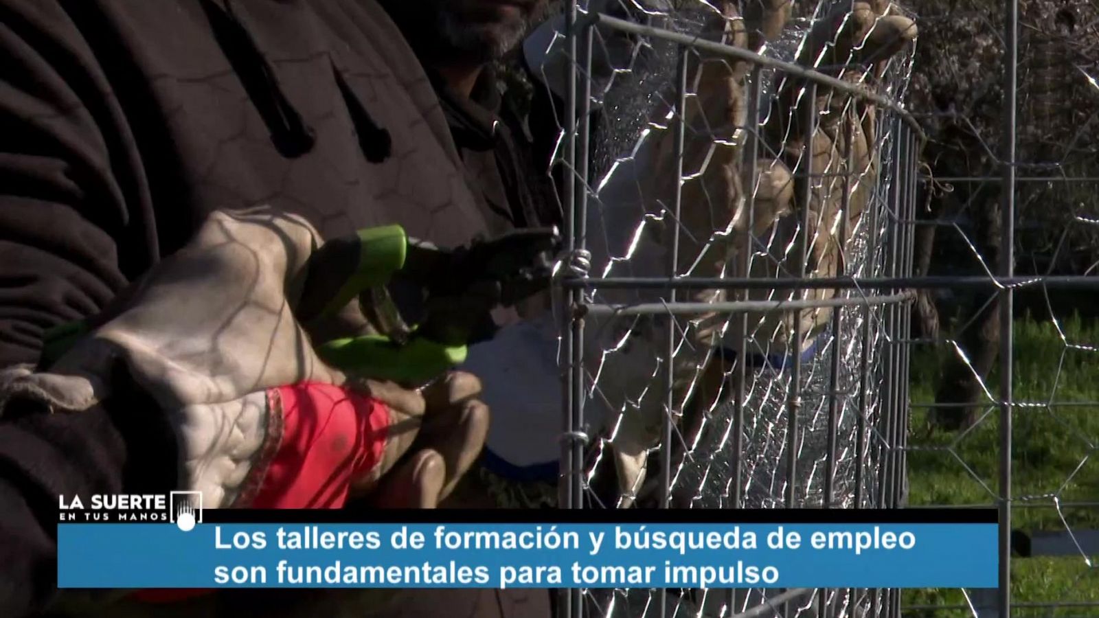 La suerte en tus manos - 09/08/2024 - ver ahora