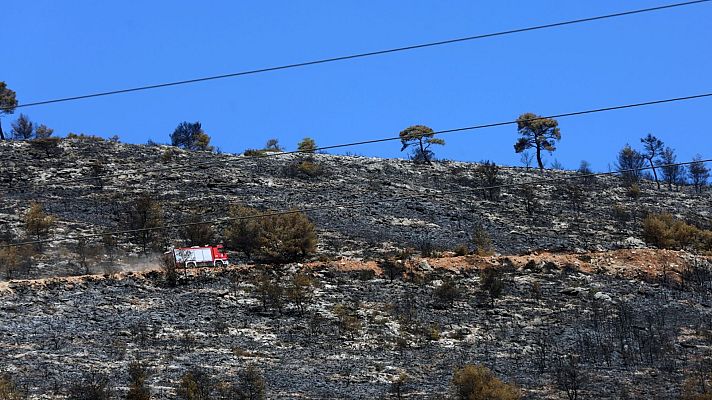 Informativo 24h - Informativo 24 horas - 14h - 13/08/24