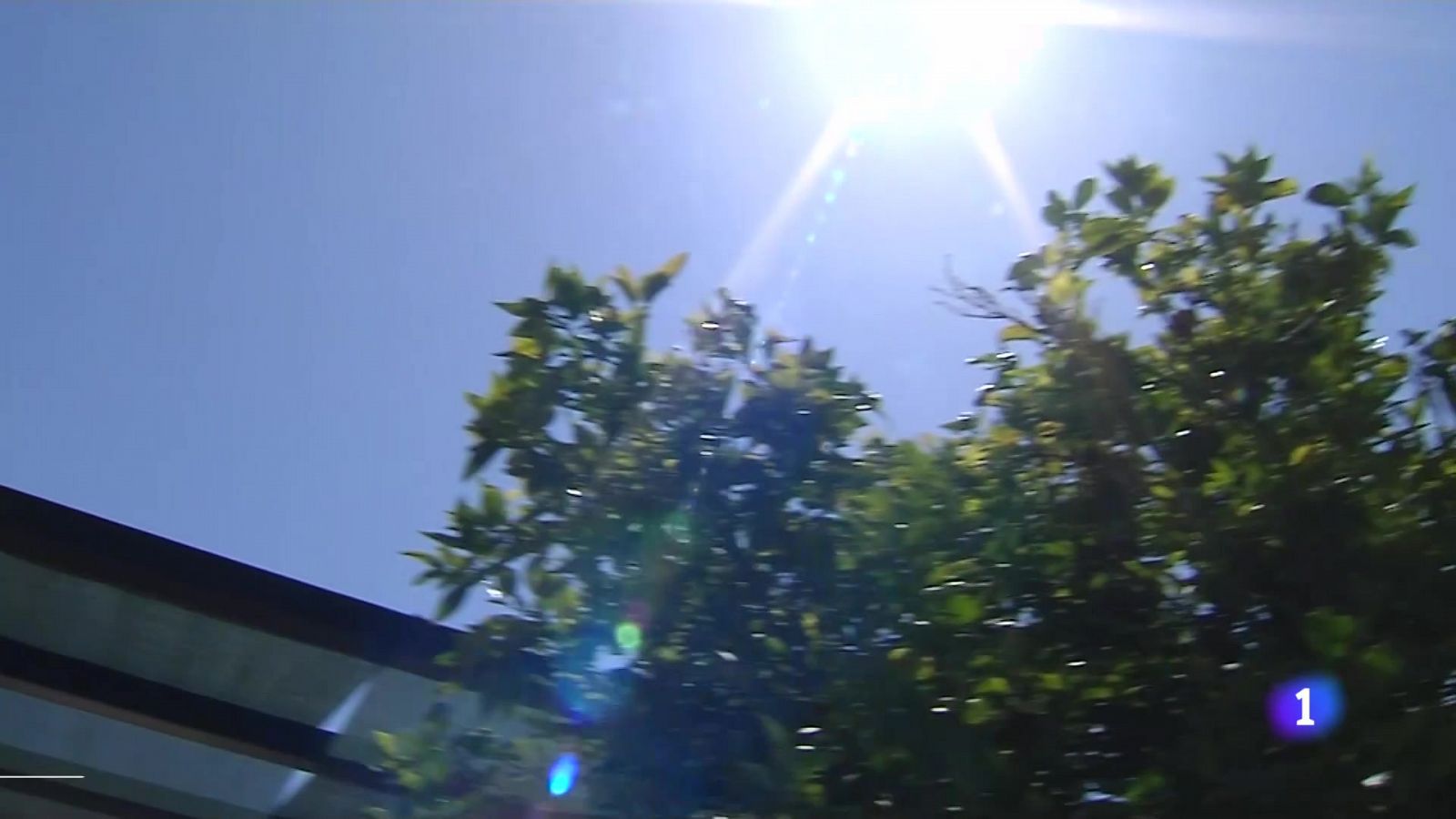 L'Informatiu de la Comunitat Valenciana 1 - 13/08/24 | Ver