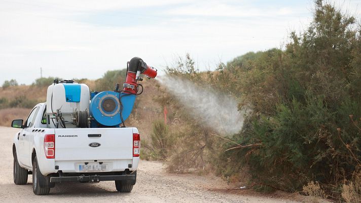 Alerta en la ribera del Guadalquivir por el aumento de casos del virus del Nilo