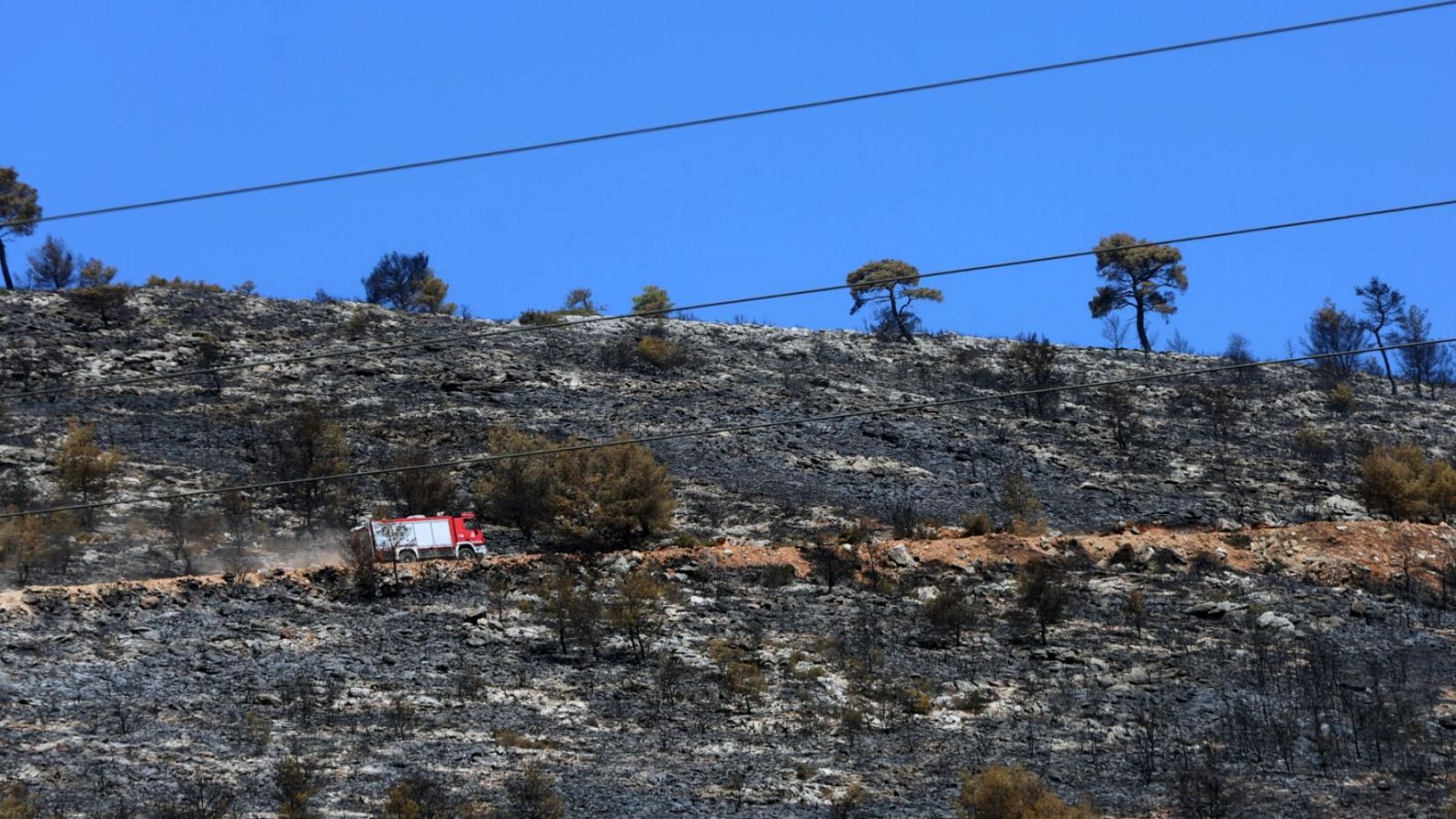 Telediario - 15 horas - 13/08/24 - ver ahora