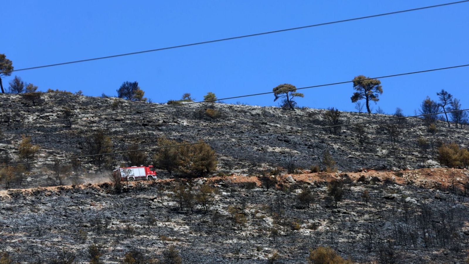 Telediario - 15 horas - 13/08/24 - Lengua de signos - ver ahora