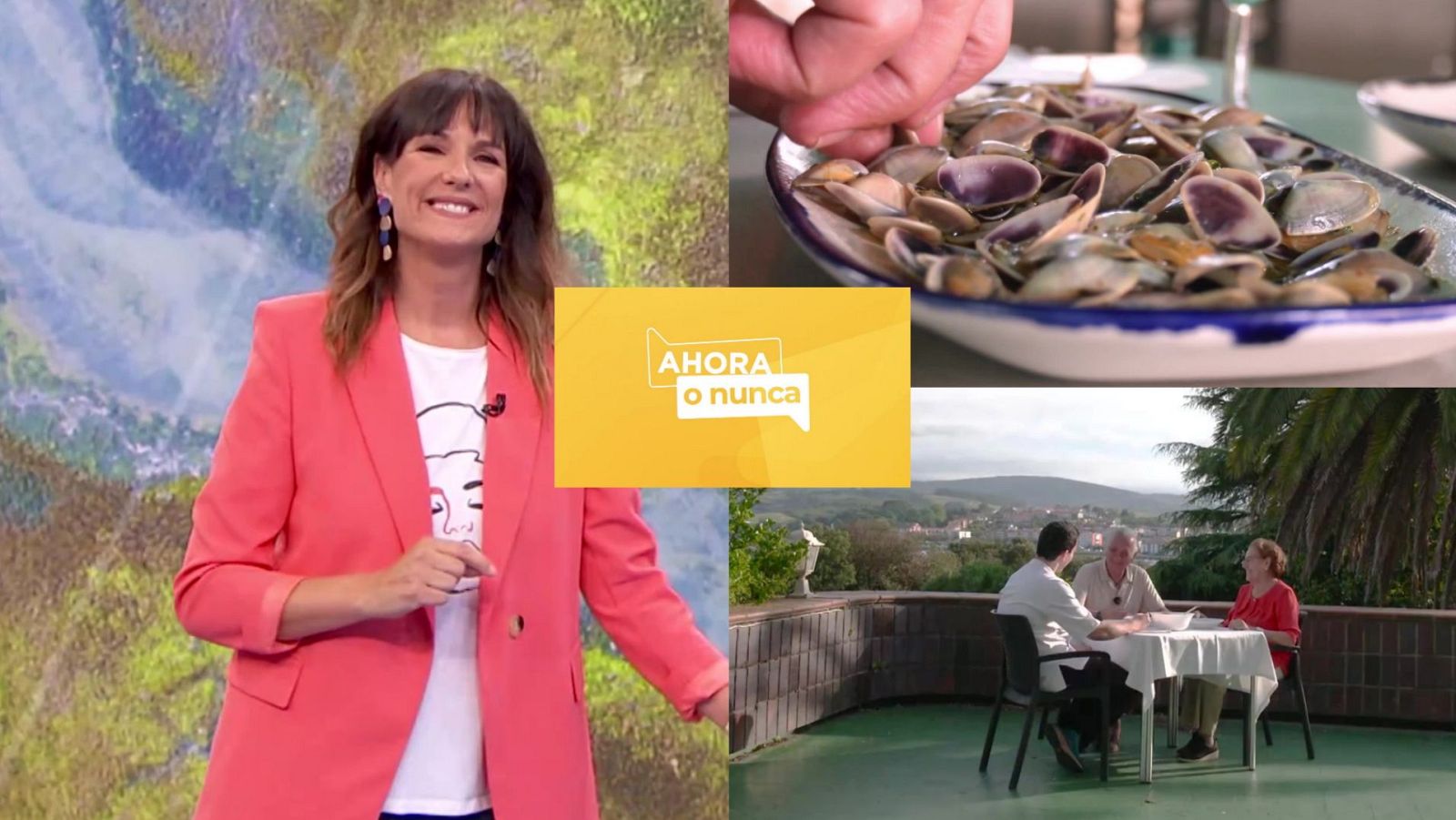 Ahora o nunca - Verano - Programa 22 - ver ahora