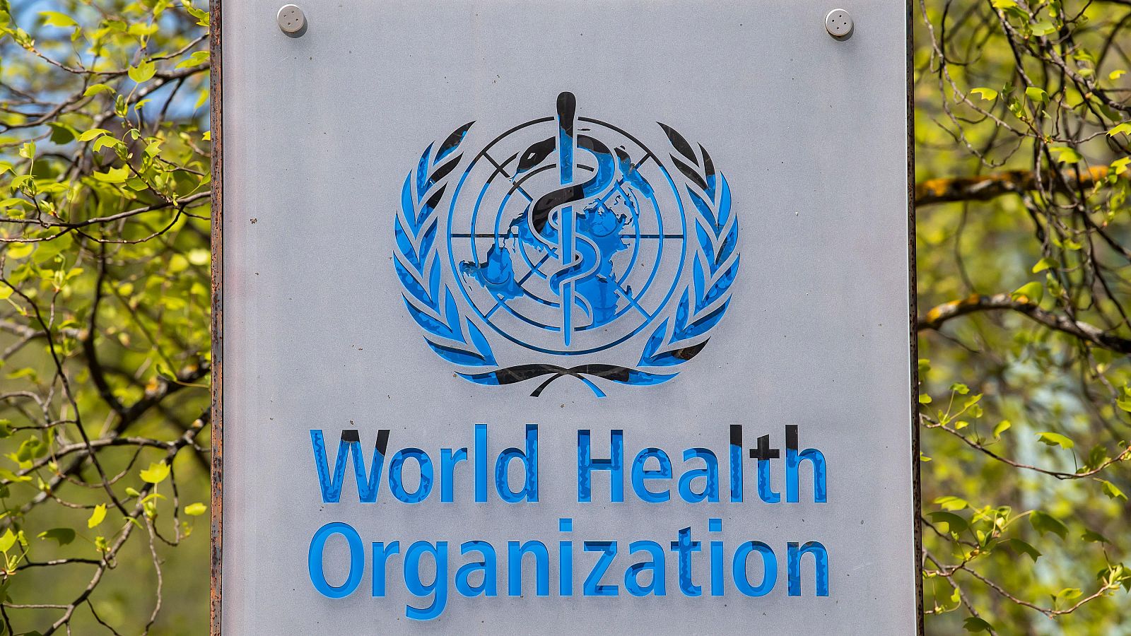 OMS declara la emergencia sanitaria internacional por viruela del mono | Ver