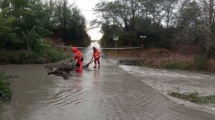 Informativo 24h - Informativo 24 horas - 14h - 15/08/24
