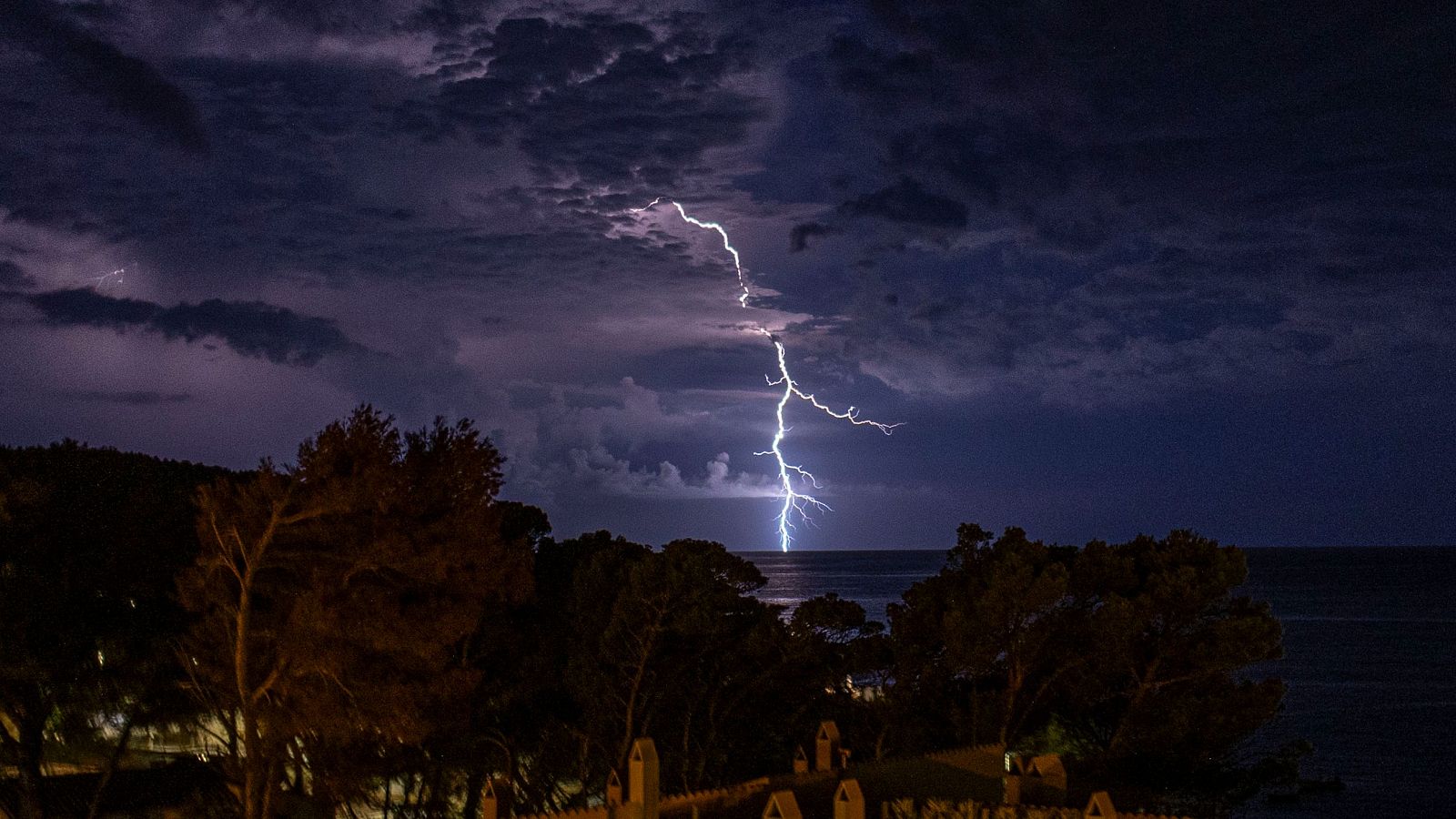 Telediario 1 en cuatro minutos - 15/08/24 - RTVE.es | Ver