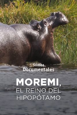 Som Documentals - Moremi, el regne de l'hipopòtam