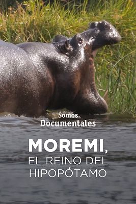 Moremi, el regne de l'hipopòtam