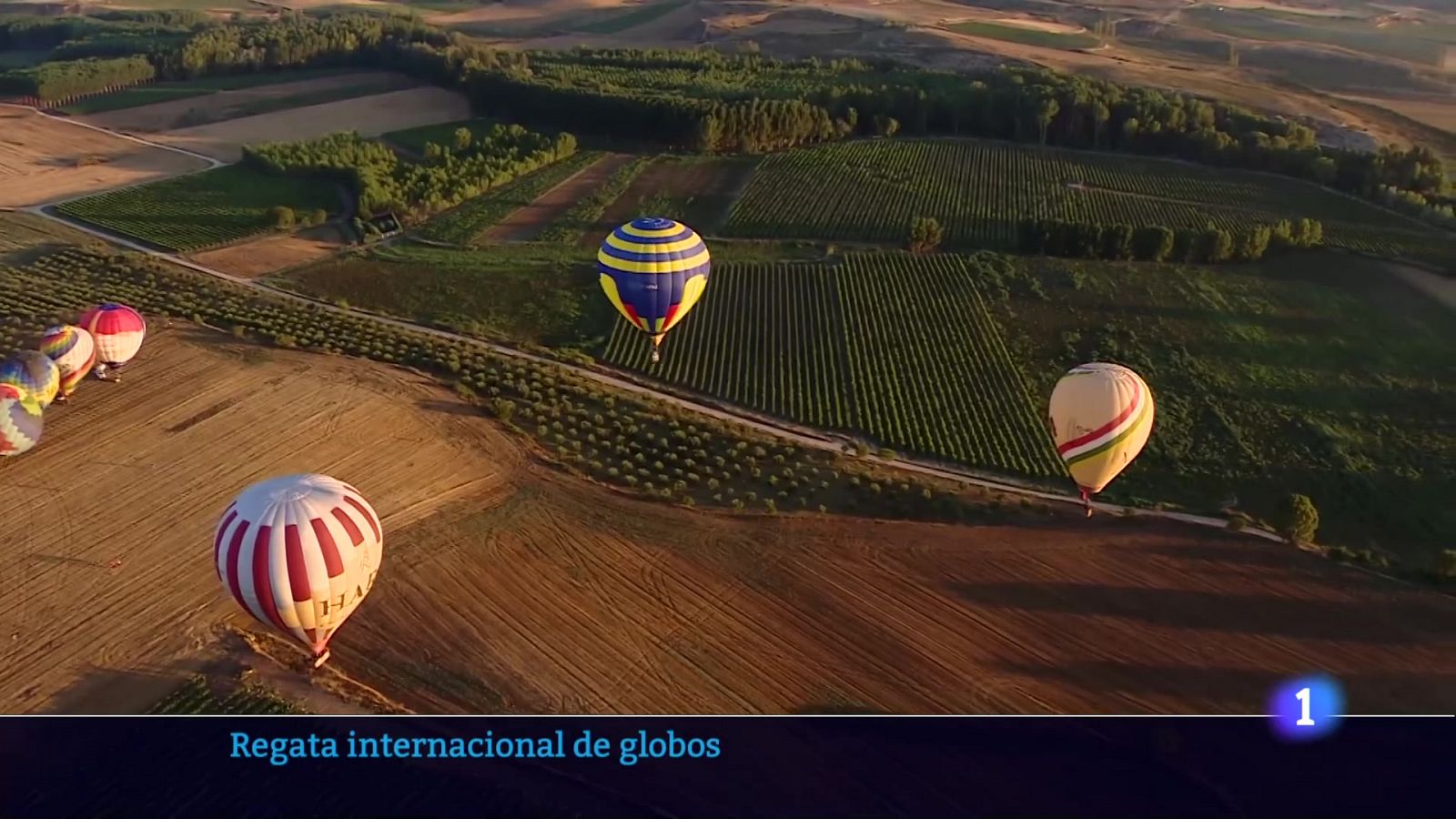 Informativo Telerioja - Programa de actualidad en RTVE Play