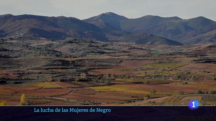 Informativo Telerioja - Informativo Telerioja 2 - 16-08-2024