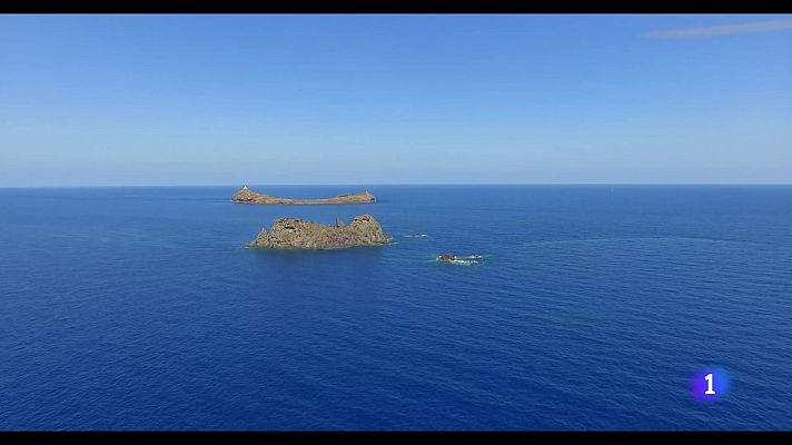 L'informatiu - Comunitat Valenciana - L'Informatiu Comunitat Valenciana 2 - 16/08/24