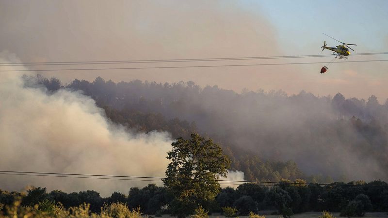 Un incendio forestal en Trabazos deja 280 hectreas afectadas - Telediario 1 | Ver