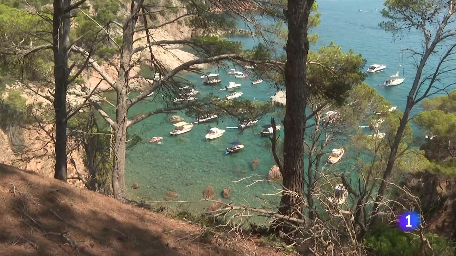 Costa Brava: Exceso de fondeos en las calas - Telediario Fin de Semana | Ver